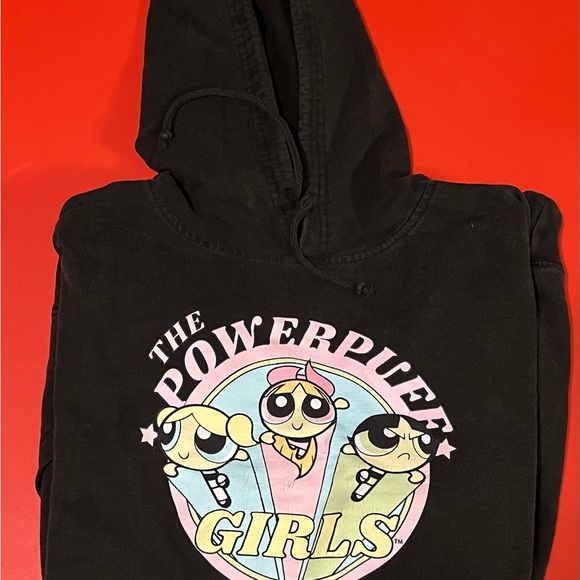 Cartoon Network Power Puff Girls Hoodie sz L - Picture 1 of 2